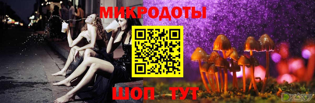 Галлюциногенные грибы мухоморы  купить закладку  Кудрово  Вход с VPN 