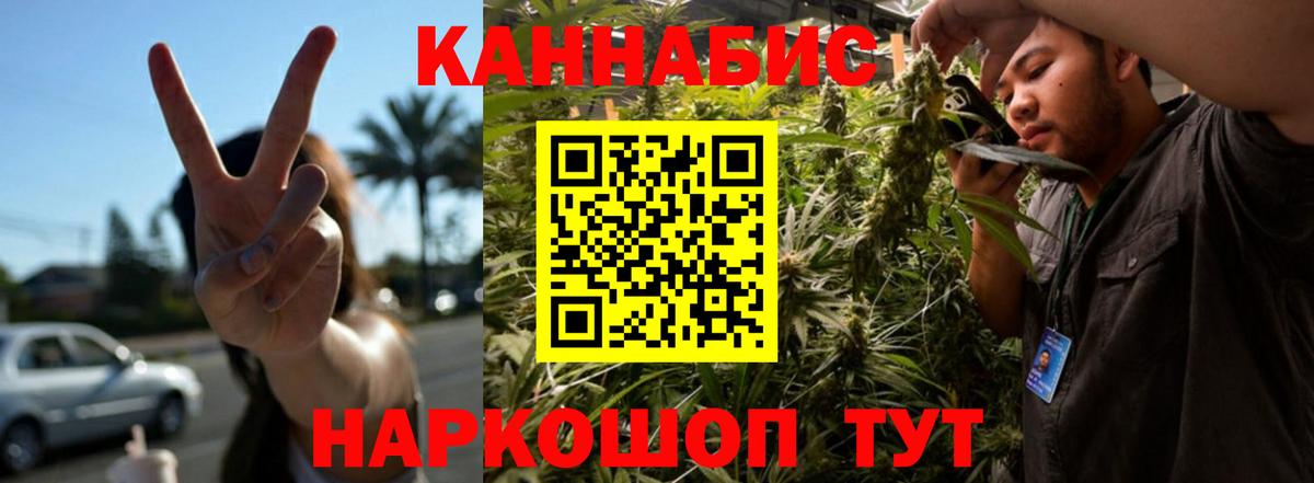 МАРИХУАНА сатива Кудрово